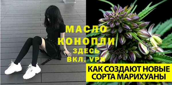 mdpv Богородицк