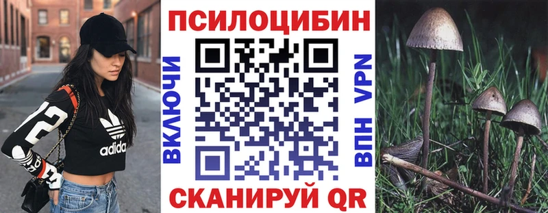 blacksprut ссылка  Буйнакск  Галлюциногенные грибы мухоморы 