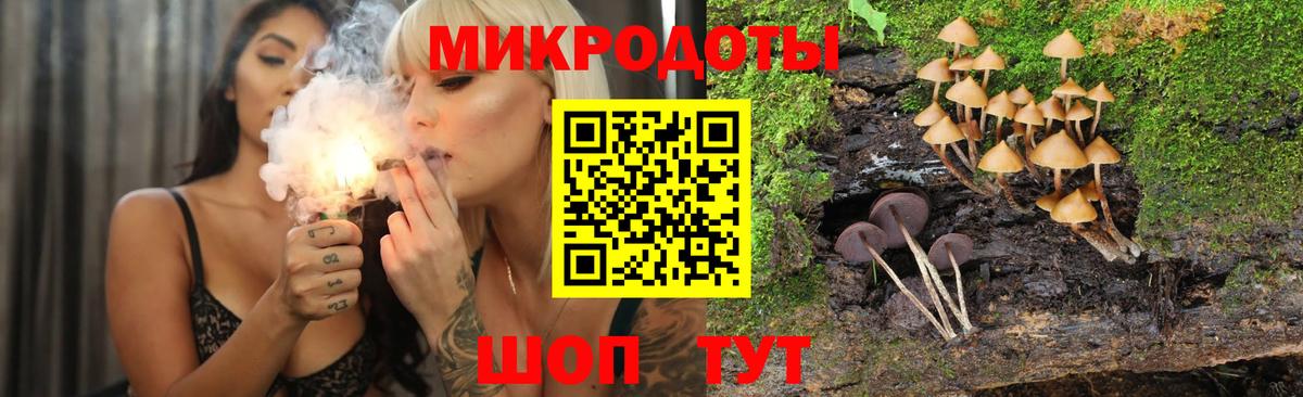 Галлюциногенные грибы GOLDEN TEACHER  Вход с VPN  Буйнакск 