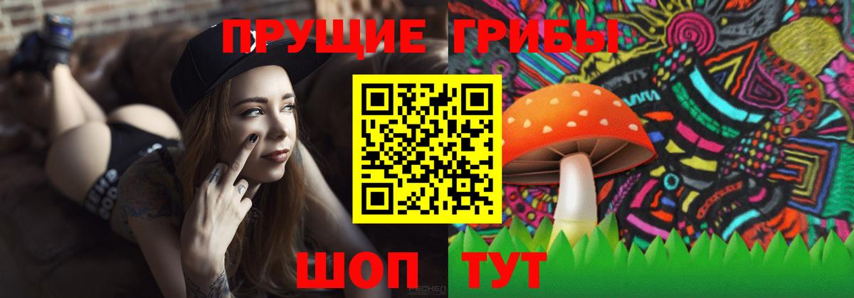 Галлюциногенные грибы мухоморы Буйнакск